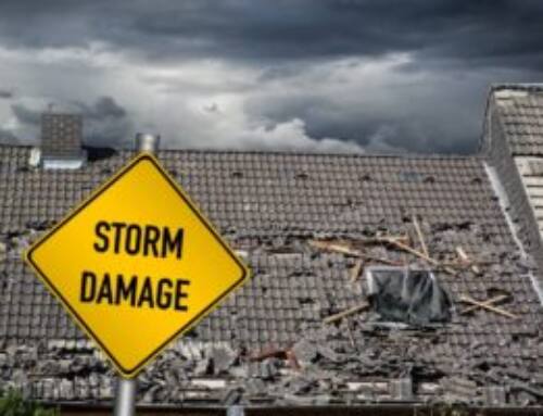 Disaster Relief: Updates Regarding Hurricane Ian